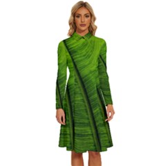 Green-leaf-plant-freshness-color Long Sleeve Shirt Collar A-line Dress by Bedest