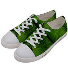 Green-leaf-plant-freshness-color Women s Low Top Canvas Sneakers by Bedest