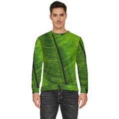 Green-leaf-plant-freshness-color Men s Fleece Sweatshirt by Bedest