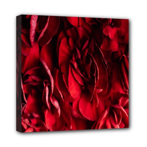 Followers,maroon,rose,roses Mini Canvas 8  X 8  (stretched) by nateshop