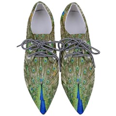 Peacock,army 1 Pointed Oxford Shoes by nateshop