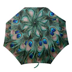Peacock-feathers,blue2 Folding Umbrellas by nateshop