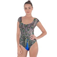 Peacock-feathers1 Short Sleeve Leotard  by nateshop