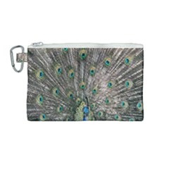 Peacock-feathers1 Canvas Cosmetic Bag (medium) by nateshop