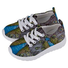 Peacock-feathers2 Kids  Lightweight Sports Shoes by nateshop