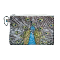 Peacock-feathers2 Canvas Cosmetic Bag (large) by nateshop