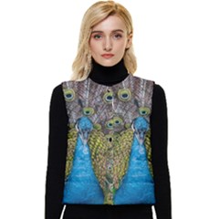 Peacock-feathers2 Women s Button Up Puffer Vest by nateshop