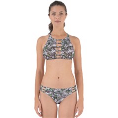 Climbing Plant At Outdoor Wall Perfectly Cut Out Bikini Set by dflcprintsclothing