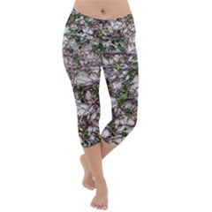 Climbing Plant At Outdoor Wall Lightweight Velour Capri Yoga Leggings by dflcprintsclothing