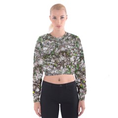 Climbing Plant At Outdoor Wall Cropped Sweatshirt by dflcprintsclothing