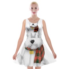 West Highland White Terrier T- Shirt Cute West Highland White Terrier Drawing T- Shirt Velvet Skater Dress by ZUXUMI