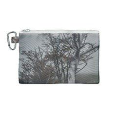 Nature s Resilience: Tierra Del Fuego Forest, Argentina Canvas Cosmetic Bag (medium) by dflcprintsclothing