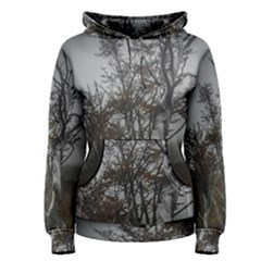 Nature s Resilience: Tierra Del Fuego Forest, Argentina Women s Pullover Hoodie by dflcprintsclothing