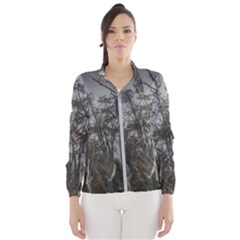 Nature s Resilience: Tierra Del Fuego Forest, Argentina Women s Windbreaker by dflcprintsclothing