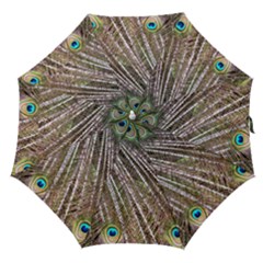 Peacock-feathers-pattern-colorful Straight Umbrellas by Amaryn4rt