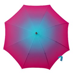 Blue Pink Purple Hook Handle Umbrellas (small)