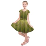 Zig Zag Chevron Classic Pattern Kids  Short Sleeve Dress