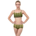 Zig Zag Chevron Classic Pattern Layered Top Bikini Set