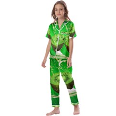 Kiwi Fruit Vitamins Healthy Cut Kids  Satin Short Sleeve Pajamas Set by Amaryn4rt
