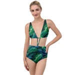Tropical Green Leaves Background Tied Up Two Piece Swimsuit