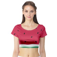 Minimalist Summer Watermelon Wallpaper Short Sleeve Crop Top by Pakjumat