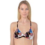 American Eagle Clip Art Reversible Tri Bikini Top