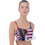 American Eagle Clip Art Frill Bikini Top
