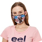 American Eagle Clip Art Crease Cloth Face Mask (Adult)