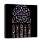 Rosette Cathedral Mini Canvas 8  x 8  (Stretched)