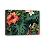 Flowers Monstera Foliage Tropical Mini Canvas 7  x 5  (Stretched)