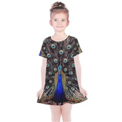 Peacock Kids  Simple Cotton Dress by Ket1n9