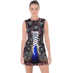 Peacock Lace Up Front Bodycon Dress by Ket1n9