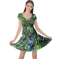 Beautiful Peacock Green Feathers Cap Sleeve Dress