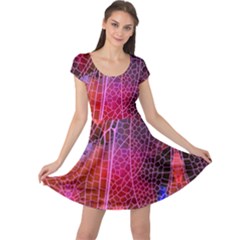Dragonfly Wings Colorful Cap Sleeve Dress by CoolDesigns
