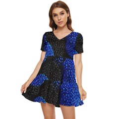Berry, One,berry Blue Black Tiered Short Sleeve Babydoll Dress by nateshop