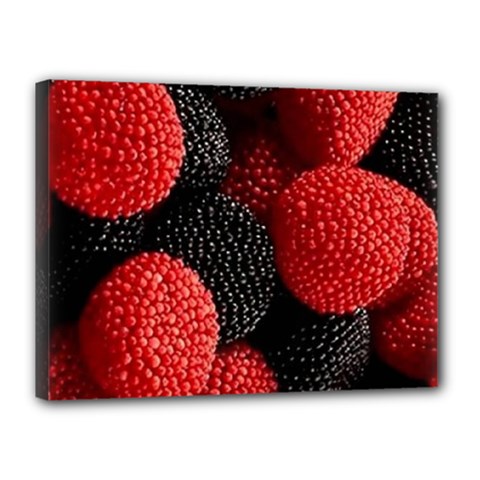 Berry,curved, Edge, Canvas 16  X 12  (stretched) by nateshop