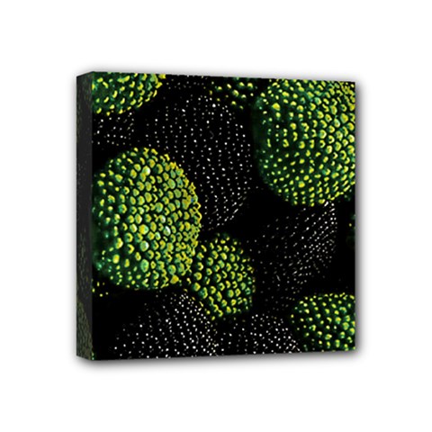 Berry,note, Green, Raspberries Mini Canvas 4  X 4  (stretched) by nateshop