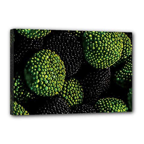 Berry,note, Green, Raspberries Canvas 18  X 12  (stretched) by nateshop