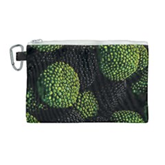 Berry,note, Green, Raspberries Canvas Cosmetic Bag (large) by nateshop