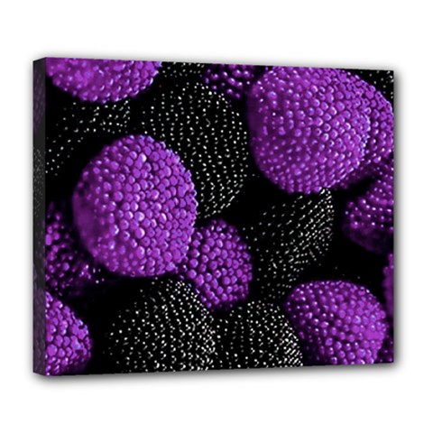 Berry,raspberry, Plus, One Deluxe Canvas 24  X 20  (stretched) by nateshop