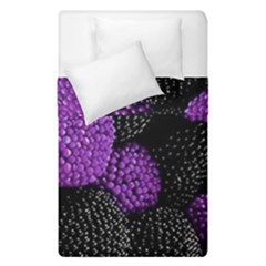 Berry,raspberry, Plus, One Duvet Cover Double Side (single Size) by nateshop