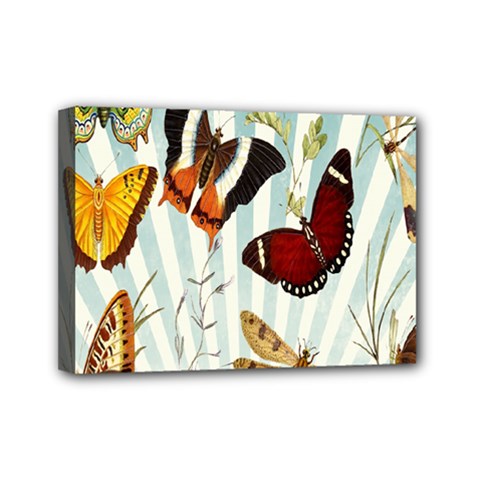 Butterfly-love Mini Canvas 7  X 5  (stretched) by nateshop