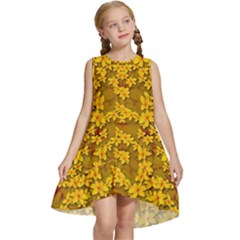 Blooming Flowers Of Lotus Paradise Kids  Frill Swing Dress