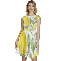 Fruit-2310212 Cap Sleeve High Waist Dress