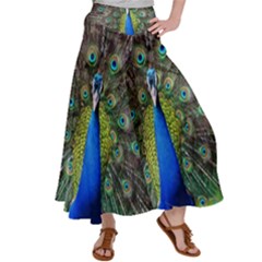 Peacock Bird Feathers Pheasant Nature Animal Texture Pattern Women s Satin Palazzo Pants by Bedest