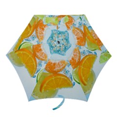 Fruits, Fruit, Lemon, Lime, Mandarin, Water, Orange Mini Folding Umbrellas by nateshop