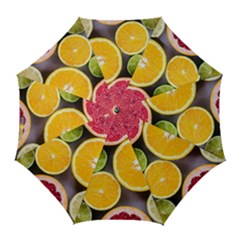 Oranges, Grapefruits, Lemons, Limes, Fruits Golf Umbrellas by nateshop