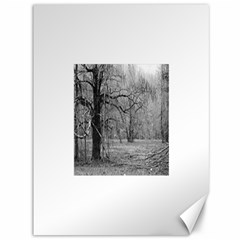 Black And White Forest 36  X 48  Unframed Canvas Print by Elanga