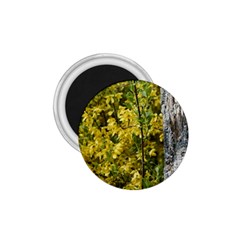 Yellow Bells Small Magnet (round) by Elanga