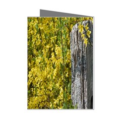 Yellow Bells 8 Pack Small Greeting Card by Elanga